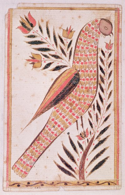 Oiseau - American School